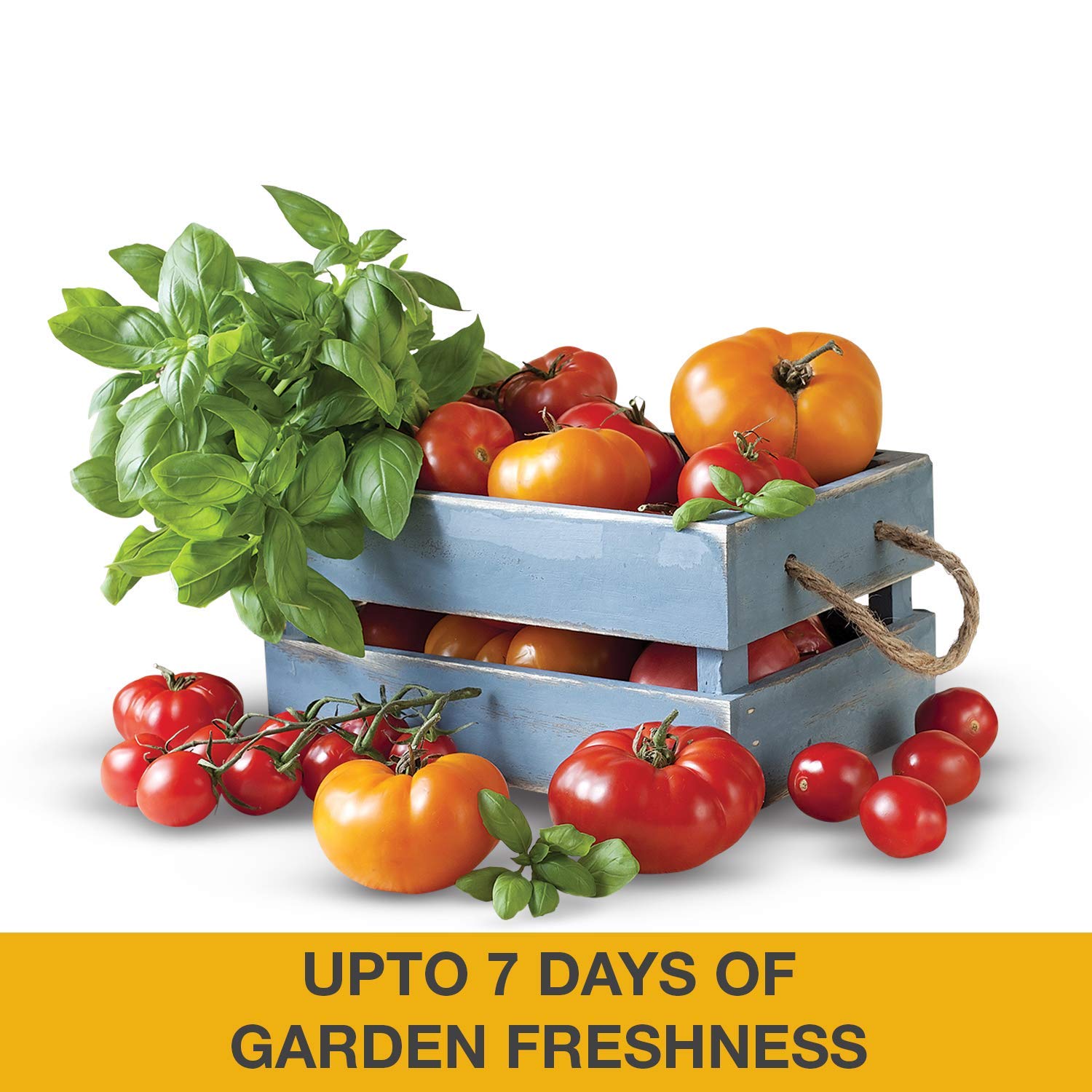 Whirlpool 215 L 4 Star Inverter Direct-Cool Single Door Refrigerator with Intellisense inverter technology(230 IMPRO ROY 4S INV WINE FLUME, Wine Flume), Free 1 Year Extended warranty - Image 8